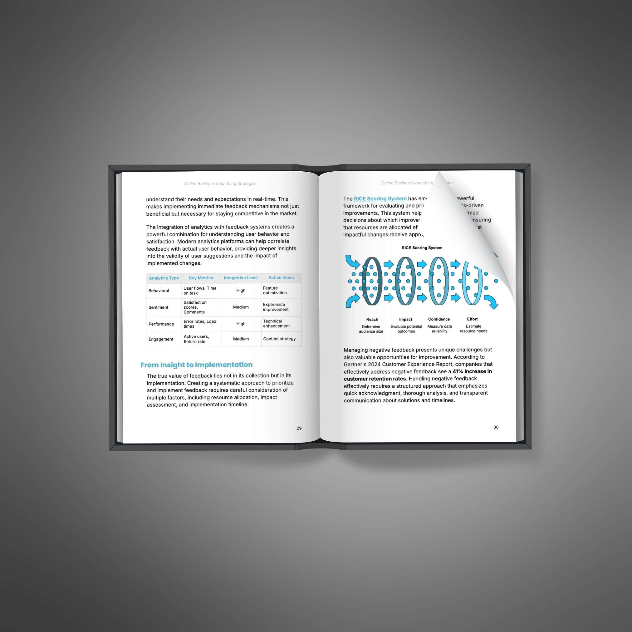 Online Business Launching Strategies | Launch & Grow a Successful Online Business (Digital Download)