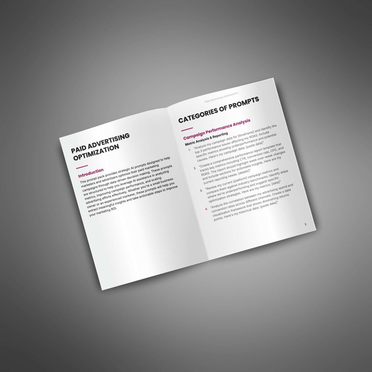 Paid Ads Optimization | AI Marketing Prompt Pack