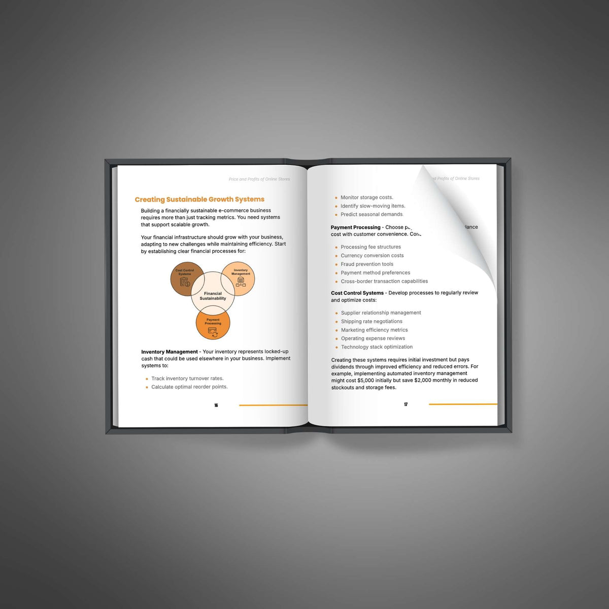 Ecommerce Pricing & Profit Strategies | Online Store Ebook
